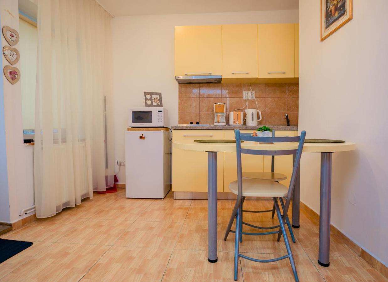 Studio Anisia Apartment Sibiu Exterior photo